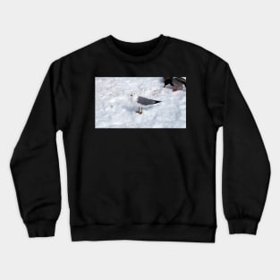 Gull Standing On The Winter Snow Crewneck Sweatshirt